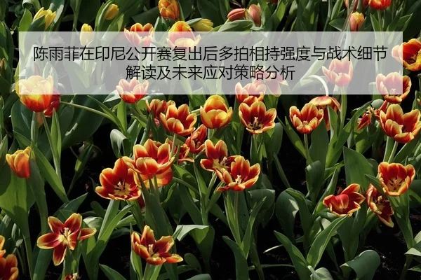 陈雨菲在印尼公开赛复出后多拍相持强度与战术细节解读及未来应对策略分析